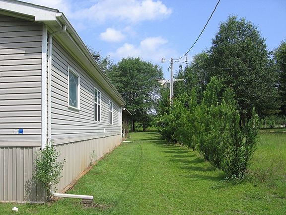 Back Yard View