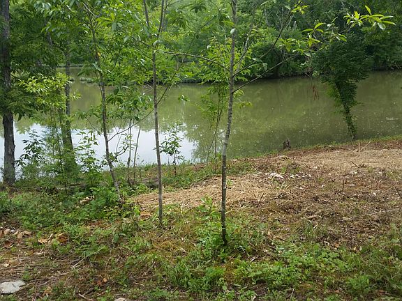 5th image of 712 Buckshot Dr