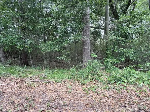 22587 W 12th Ave, Florala, AL 36442