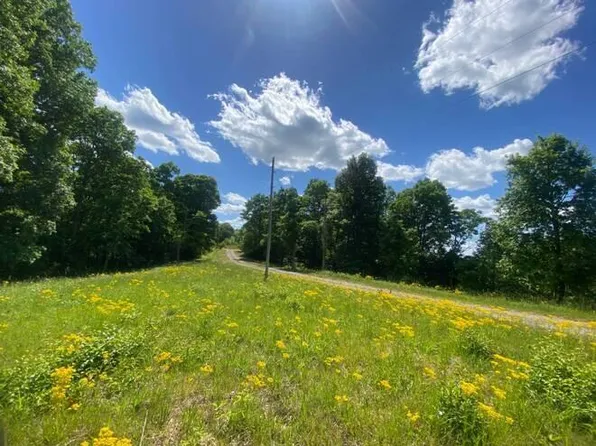 4.15 Davidson Rd, Burkesville, KY 42717