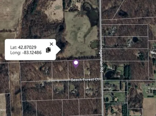 0 Beech Forest Ct, Leonard, MI 48367