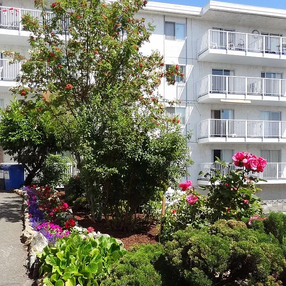 1180 Esquimalt Rd #308 — Photo 1