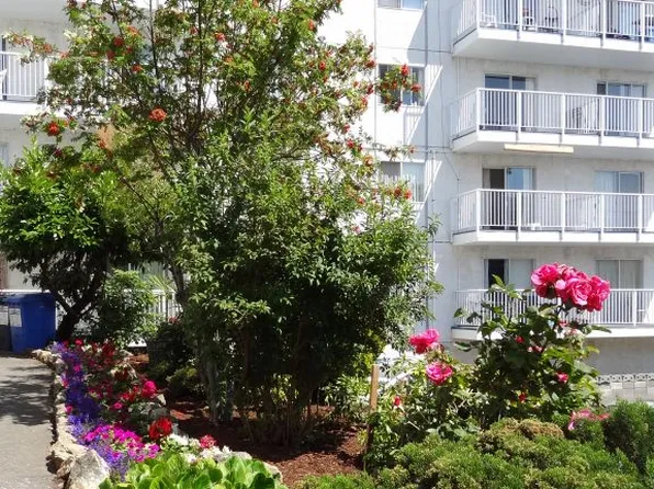 1180 Esquimalt Rd #202, Esquimalt, BC V9A 3N8