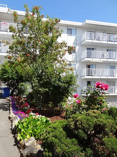 1180 Esquimalt Rd #308 Photo 1