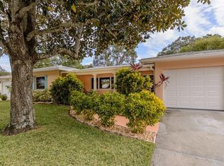 1631 San Roy Dr, Dunedin, FL 34698