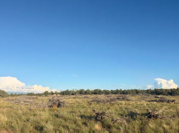 3893 Trebil Blvd, Snowflake, AZ 85937