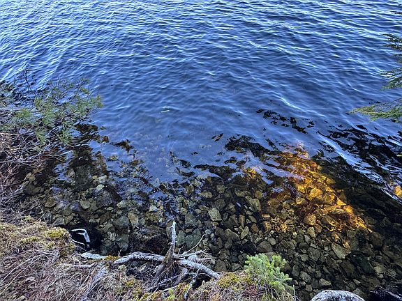 3rd image of Lot 117N Long Lake Road
