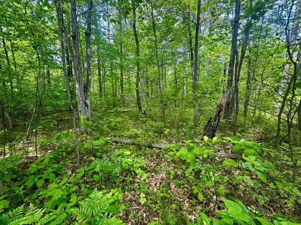 On Hill And Dale Dr, Minocqua, WI 54548
