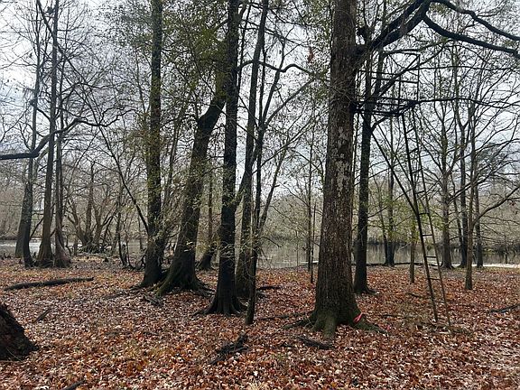4th image of 0 Lake St