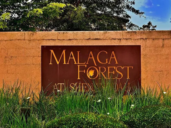 1455 Torrijos Ct, Conroe, TX 77384