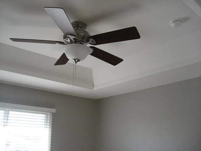Bedroom 1(Tray Ceiling with Fan)