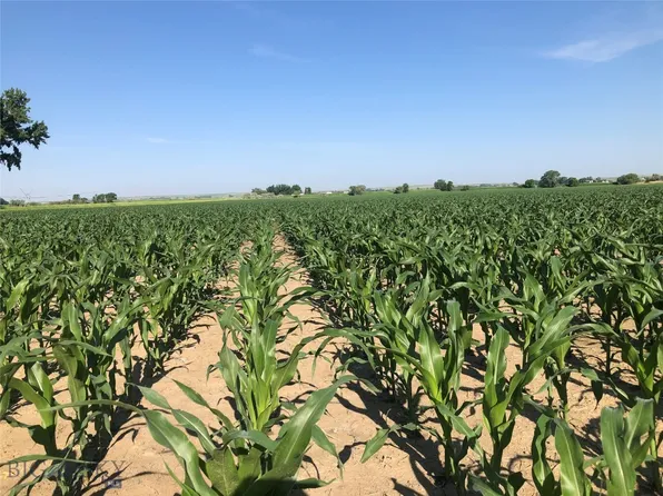 Highway 16, Sidney, MT 59270