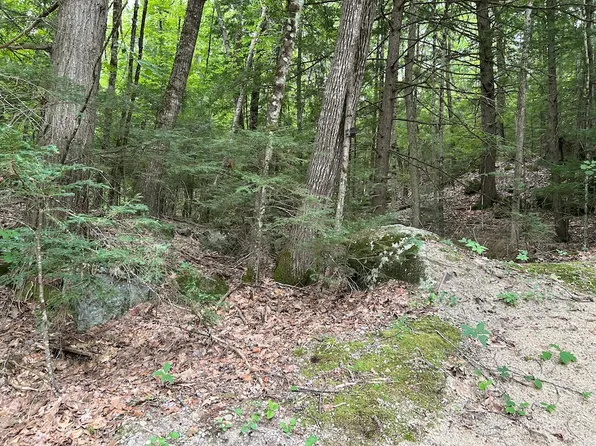 Windsor Terrace Rd Lot Wp001, Concord, NH 03303
