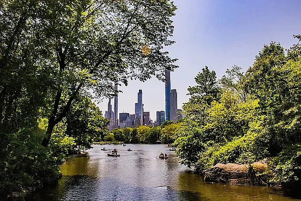 Rented by Vector New York, LLC | media 6