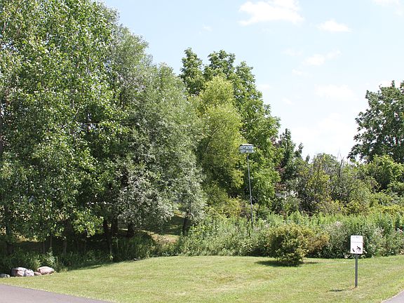 Side and Back - Janivar 