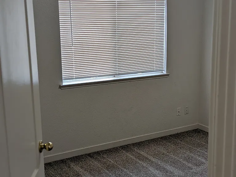 10625 N Sea Shell Cv — Photo 13