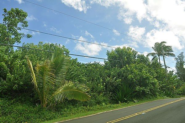 1st image of Kalapana Beach Hvn