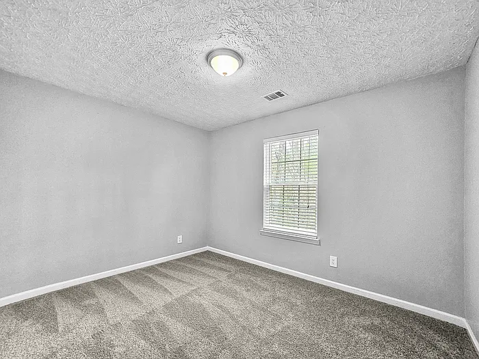 1236 Liriope Ln — Photo 15
