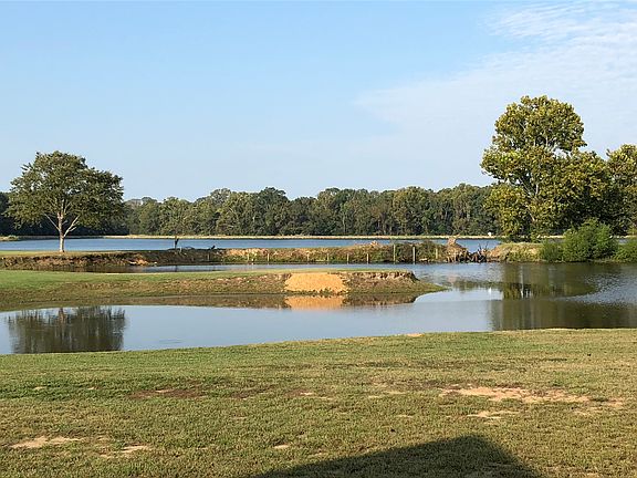 Back yard with small and lar