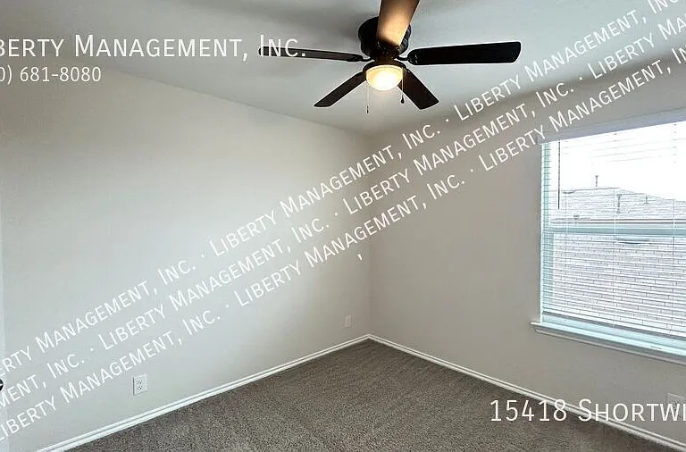 15418 Shortwing — Photo 21