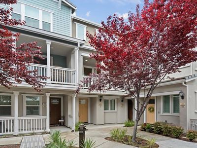 106 Lemmon Ter, Sunnyvale, CA, 94086