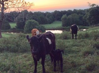 442 Fredericksburg Rd, Ruckersville, VA 22968