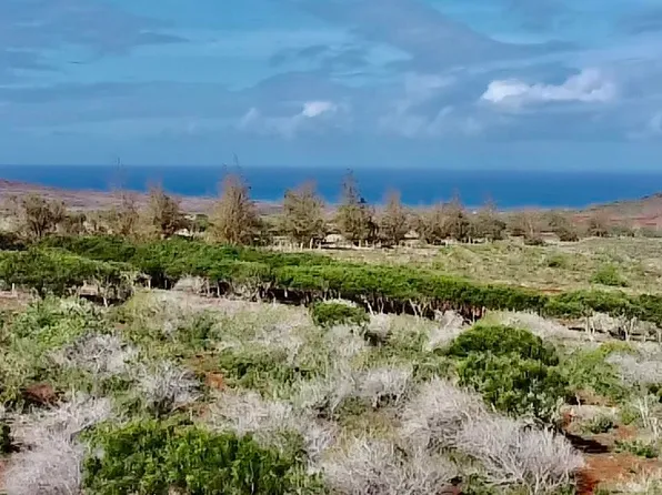 0 Kalua Koi Rd #47, Maunaloa, HI 96770