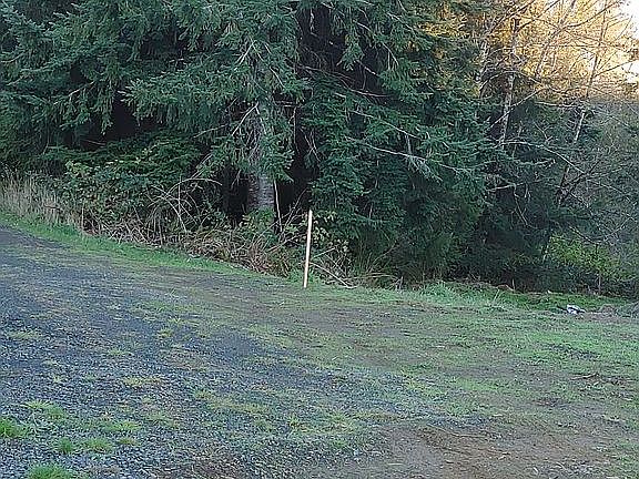 5th image of 1 Hilltop Dr