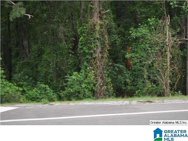 2nd image of Highway 82