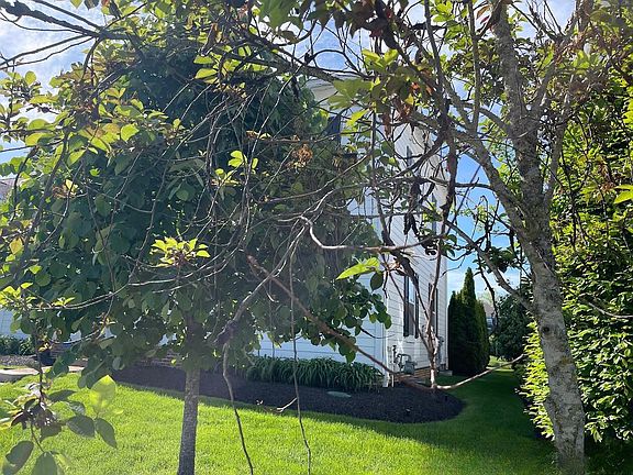3rd image of 7141 Emmet Row Ln