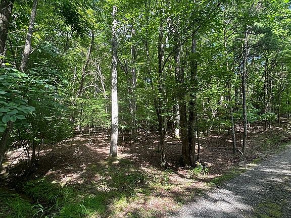 5th image of 0 E Two Pond Ln