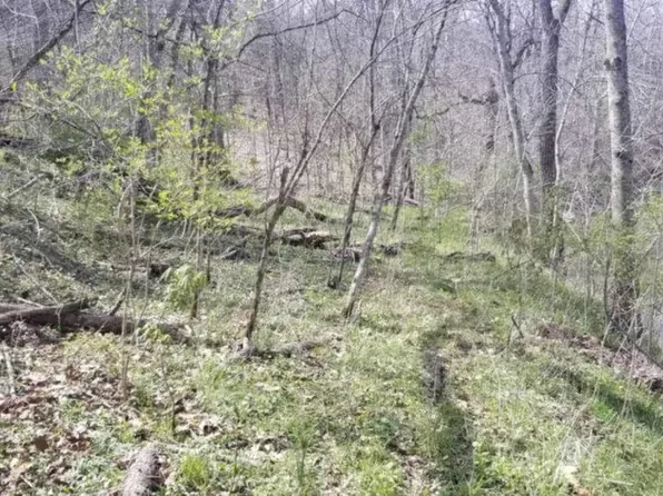 99 Huffman Rd, Harrodsburg, KY 40330