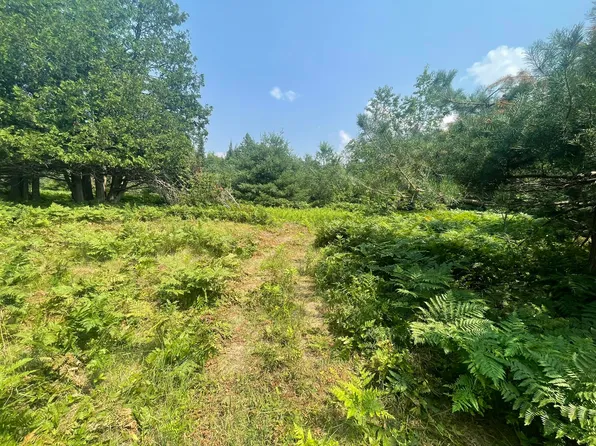 Reams Rd, Indian River, MI 49749