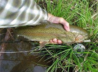 32400 Highway 36 E, Paynes Creek, CA 96075