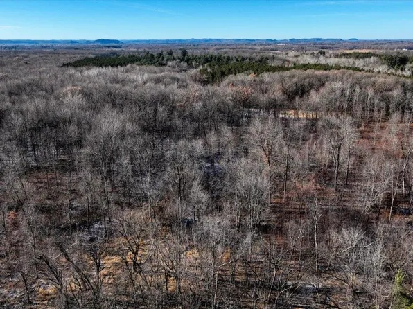 887/- Acres Hwy #80, New Lisbon, WI 53950