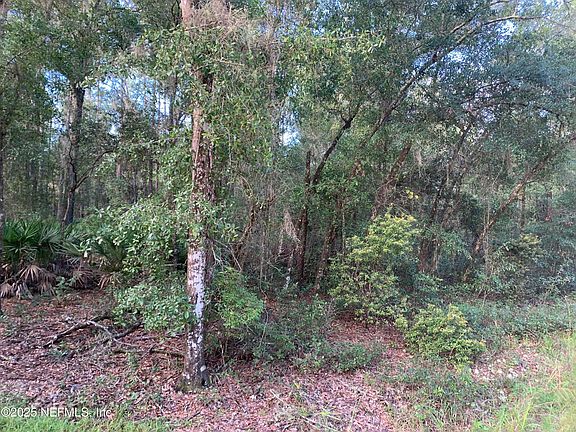 2nd image of 127 SOUTH Drive