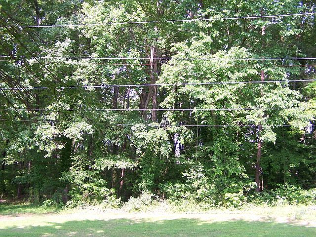 2nd image of 1010 2nd Ave
