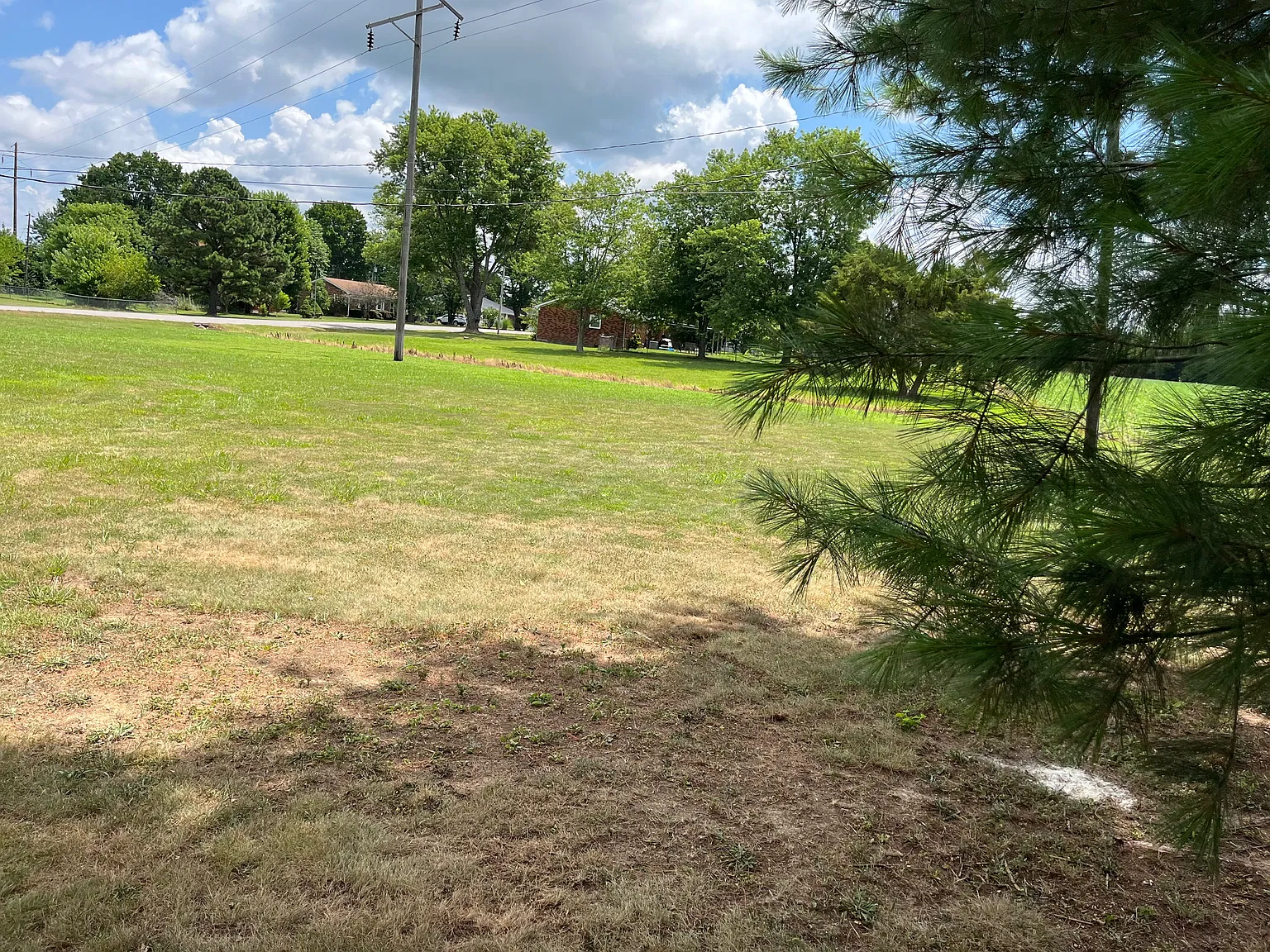 3 bed, 1125 sqft, $1,500 — Photo 4
