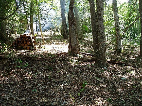 3rd image of Woods Mountain Trail Tahala Shrs