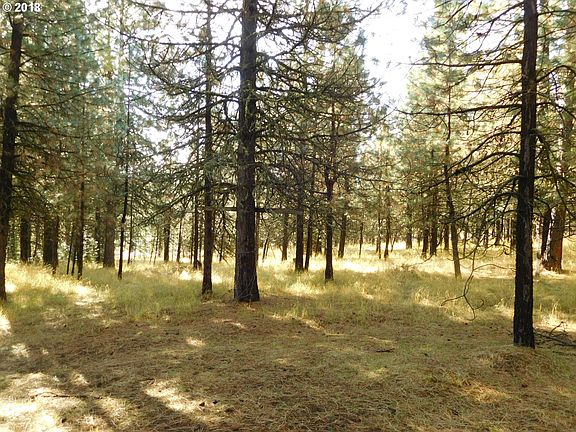 5th image of 77936 Lupine Ln