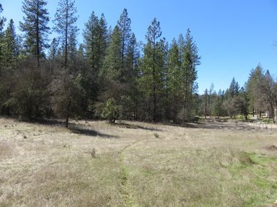 79 Black Oak Dr, Rail Road Flat, CA, 95248