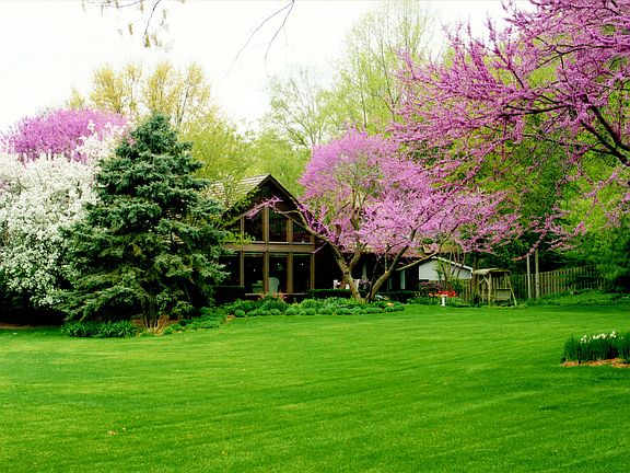 Stunning private backyard