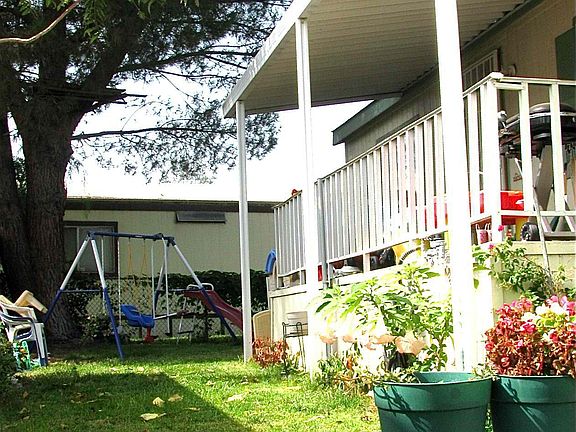 LARGE YARD WITH HUDGE SHADY PINE TREE, PERFECT FOR BIRTHDAYS/ SWING SET