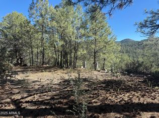 6536 E 99th Rd, Crown King, AZ 86343