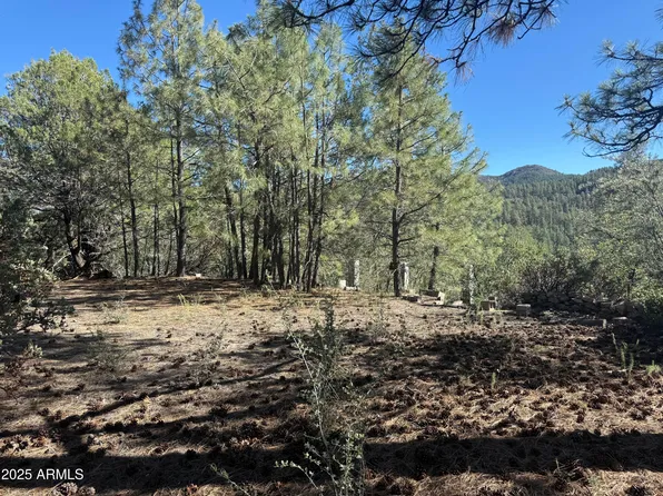 6536 E 90 AND 9 Road #-, Crown King, AZ 86343