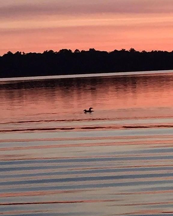 Beautiful sunset on the lake
