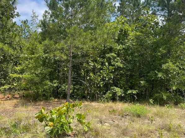 0 Bullard Rd, Sanford, NC 27332