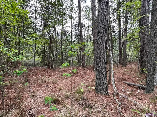 14699 Greenwell Springs Port Hudson Rd, Pride, LA 70770