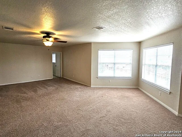 208 Springtree Cv — Photo 17