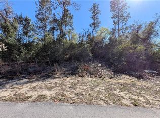 13014 Hanley Dr, Spring Hill, FL 34609